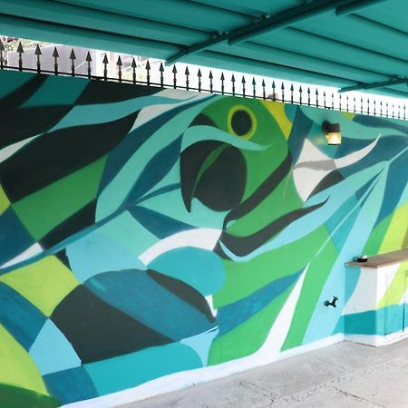 Mondo Verde Hostel São Paulo Exteriér fotografie